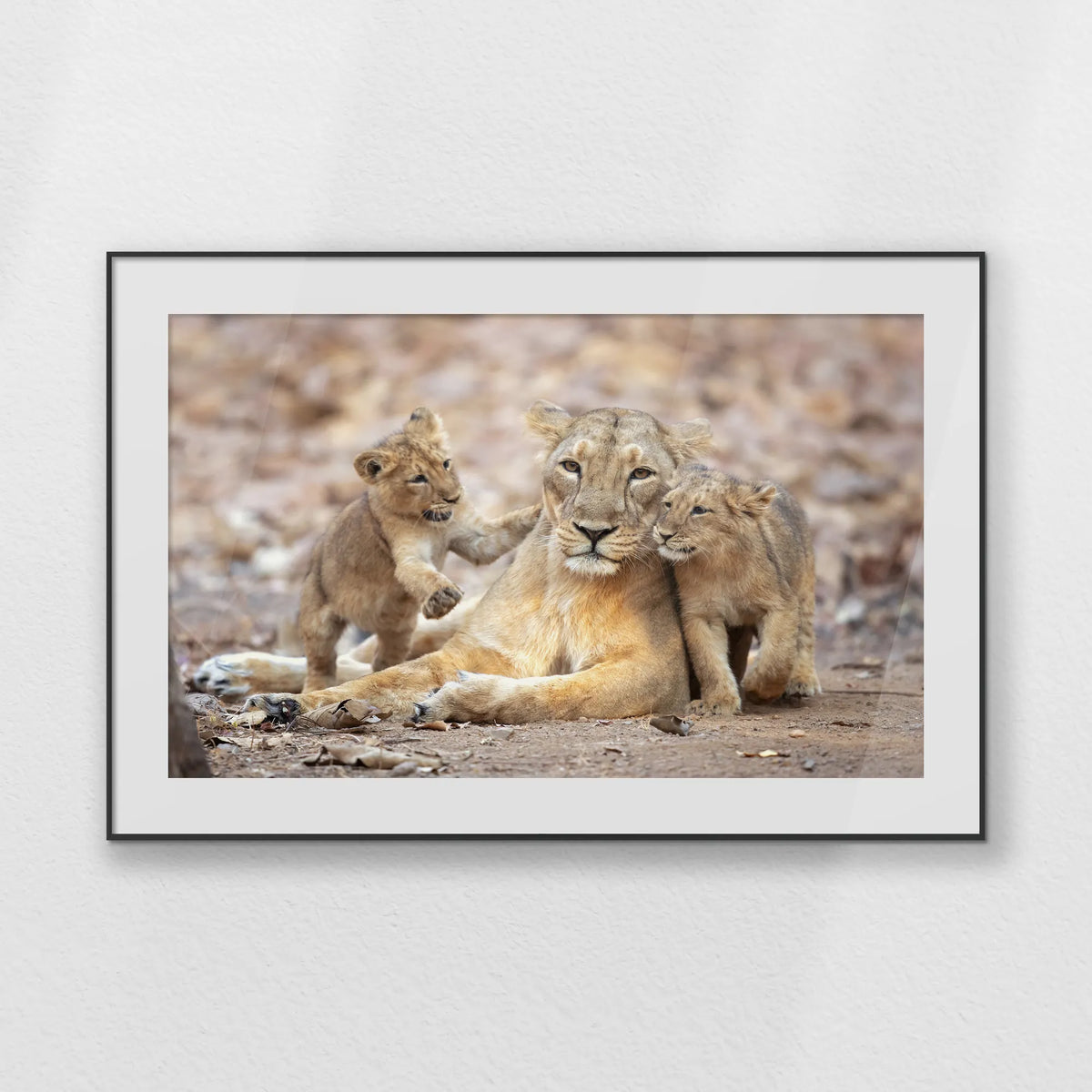 PBP120W080