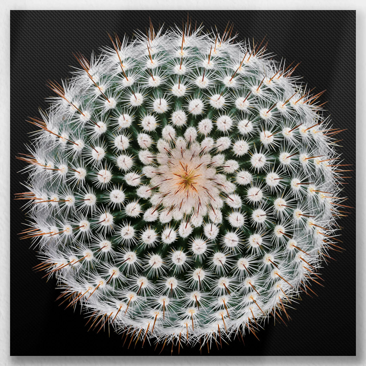 LW-040W040