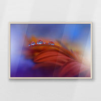 PN-093W062