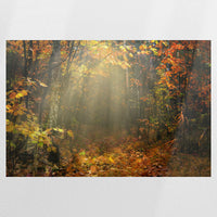 PO-120W080
