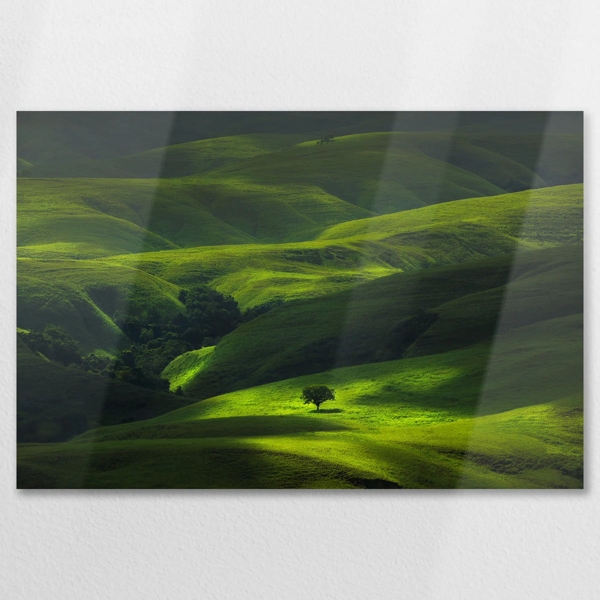 AL-075W050
