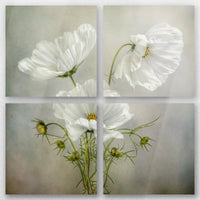 AL-060V060