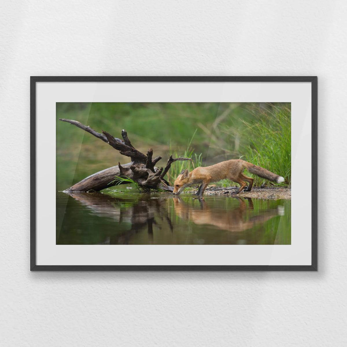 PKP093W062