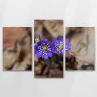 AC-090T060