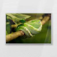 PS-100W070