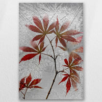 AL-020W030