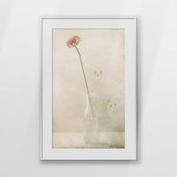 PSP062W093
