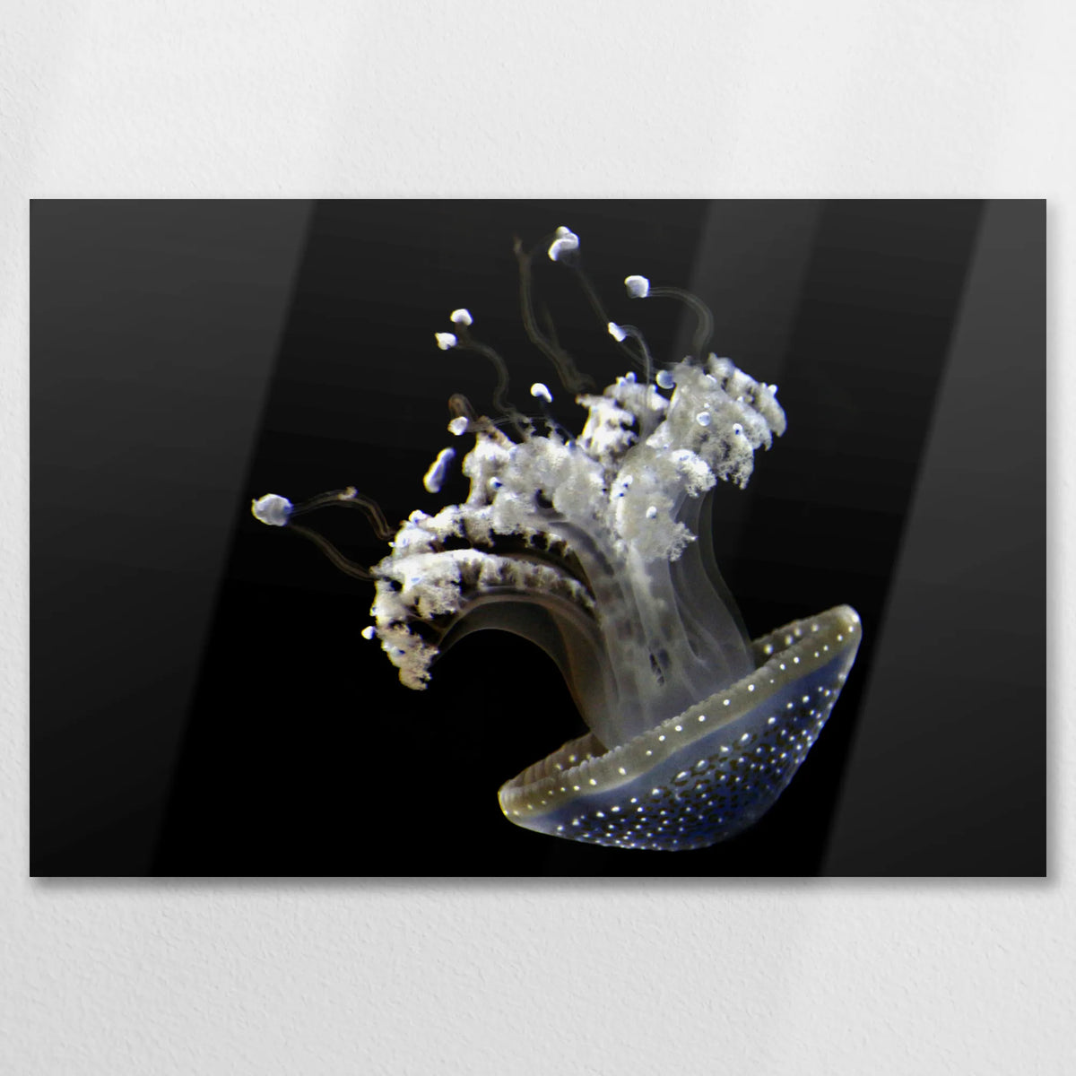 AL-075W050