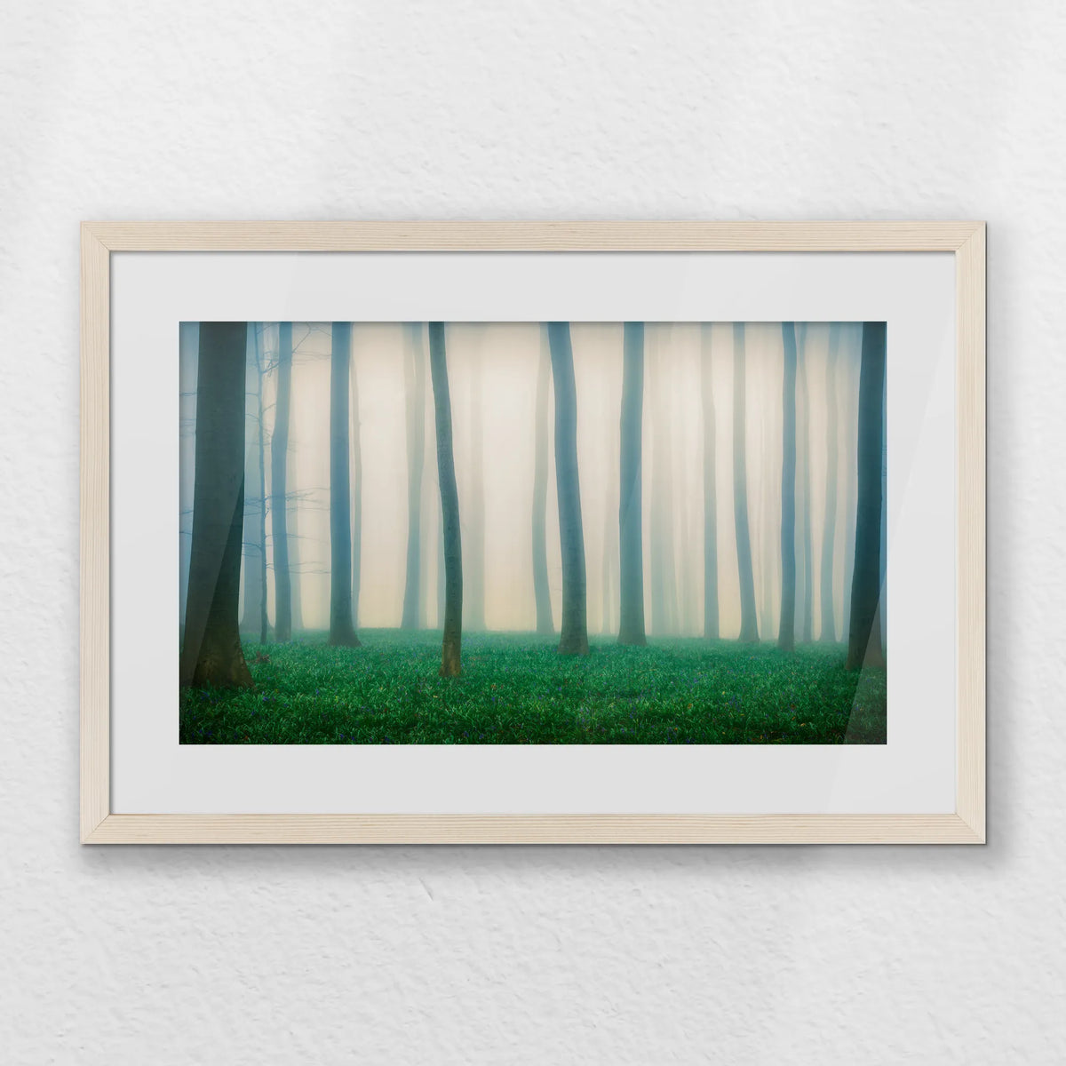 PNP060W040