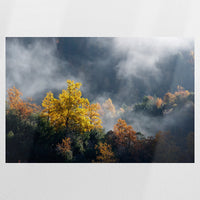 PO-075W050