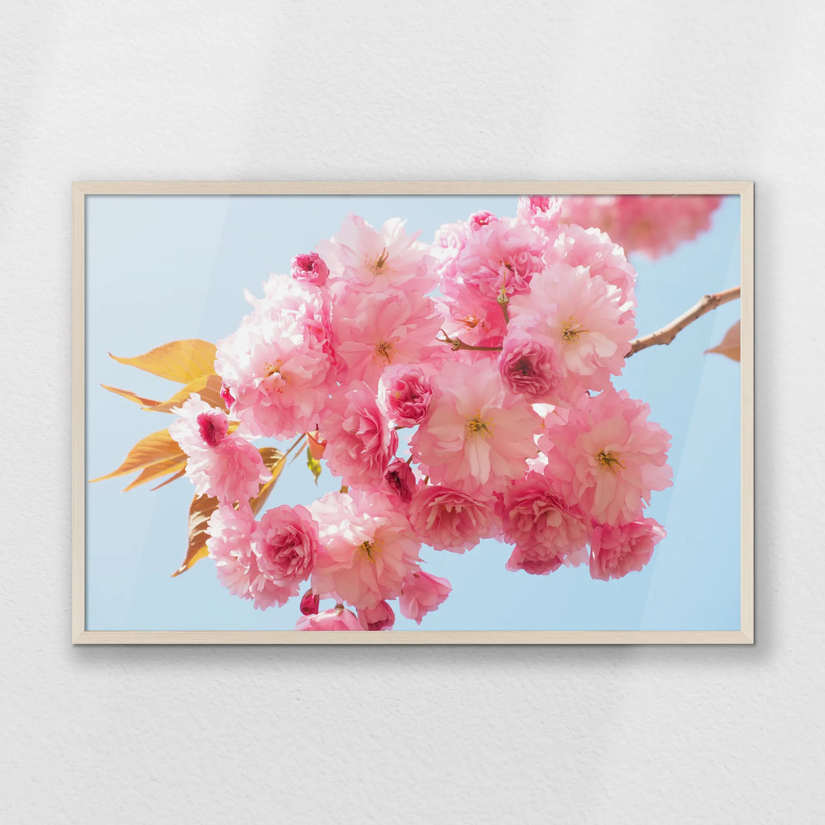 PN-093W062