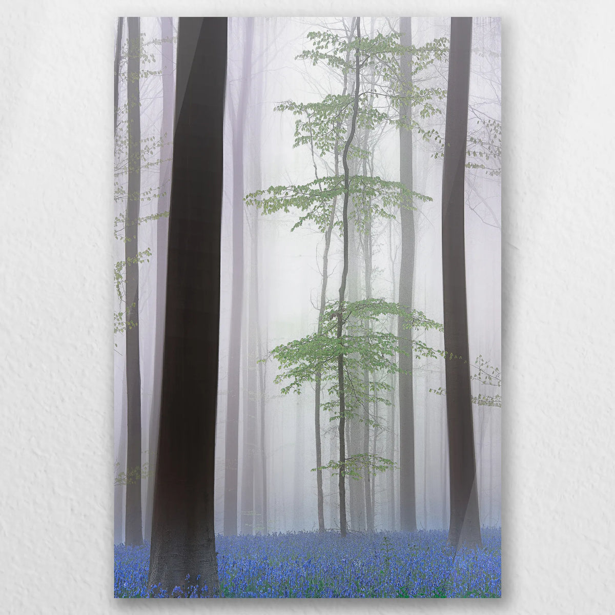 AC-050W075
