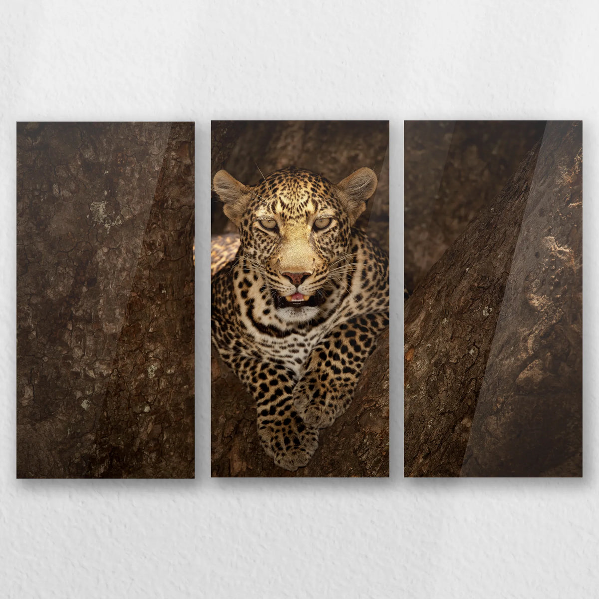 AC-060R040