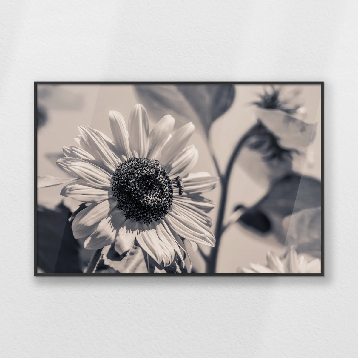 PB-093W062