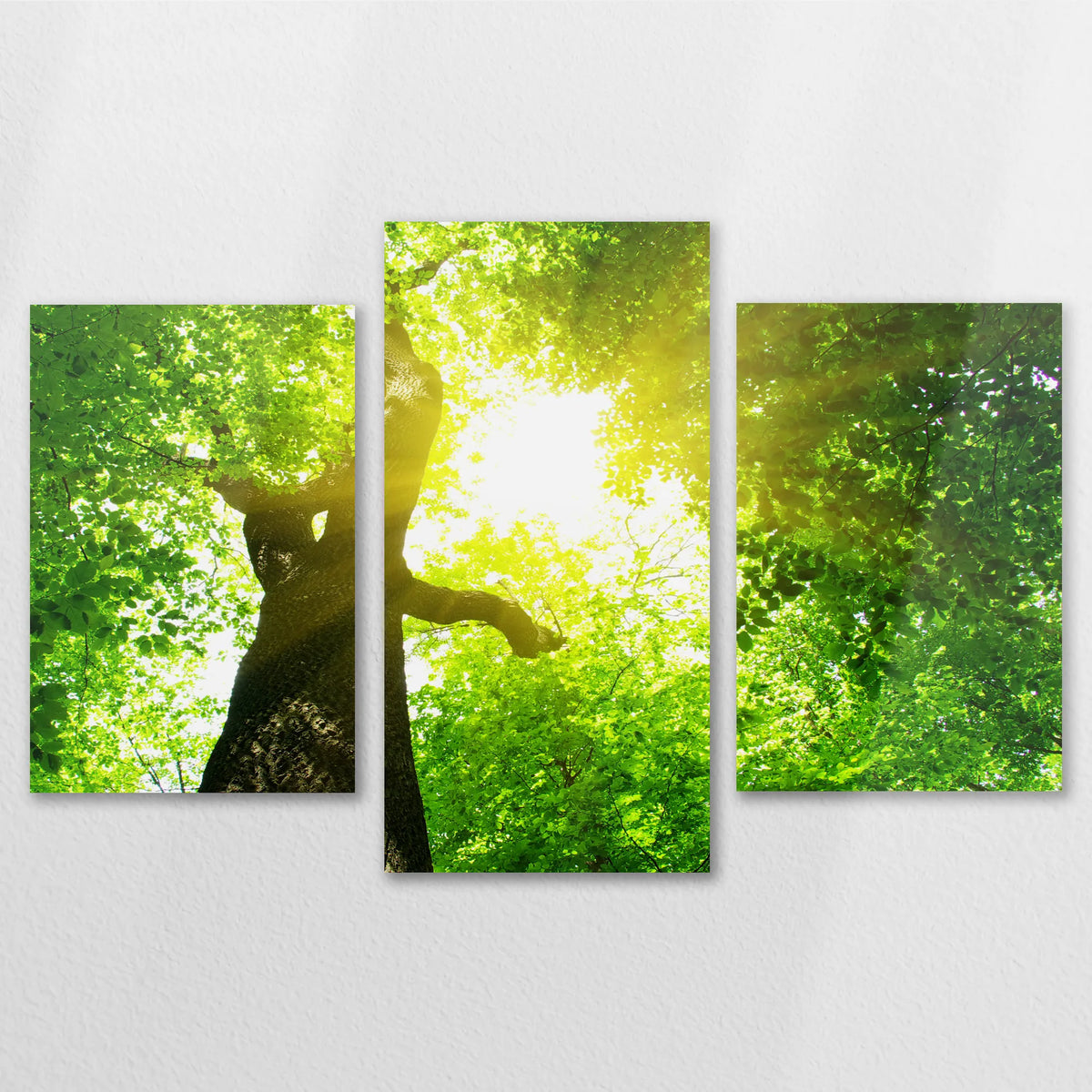 AL-120T080