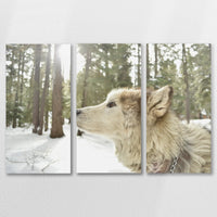 AL-090R060