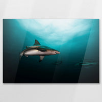 AC-075W050