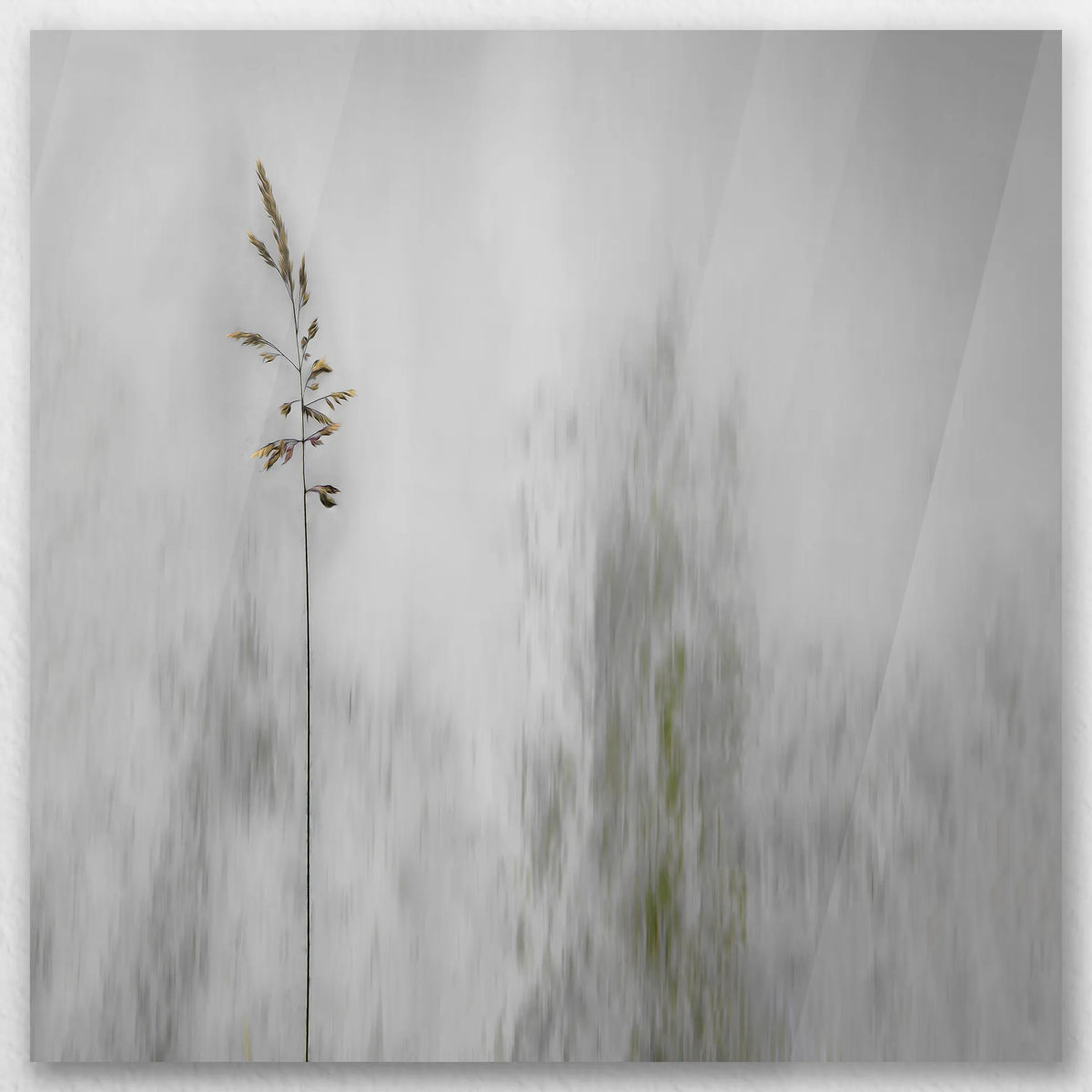 AC-040W040