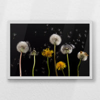 LWW060W040