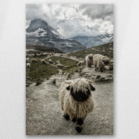 AC-040W060