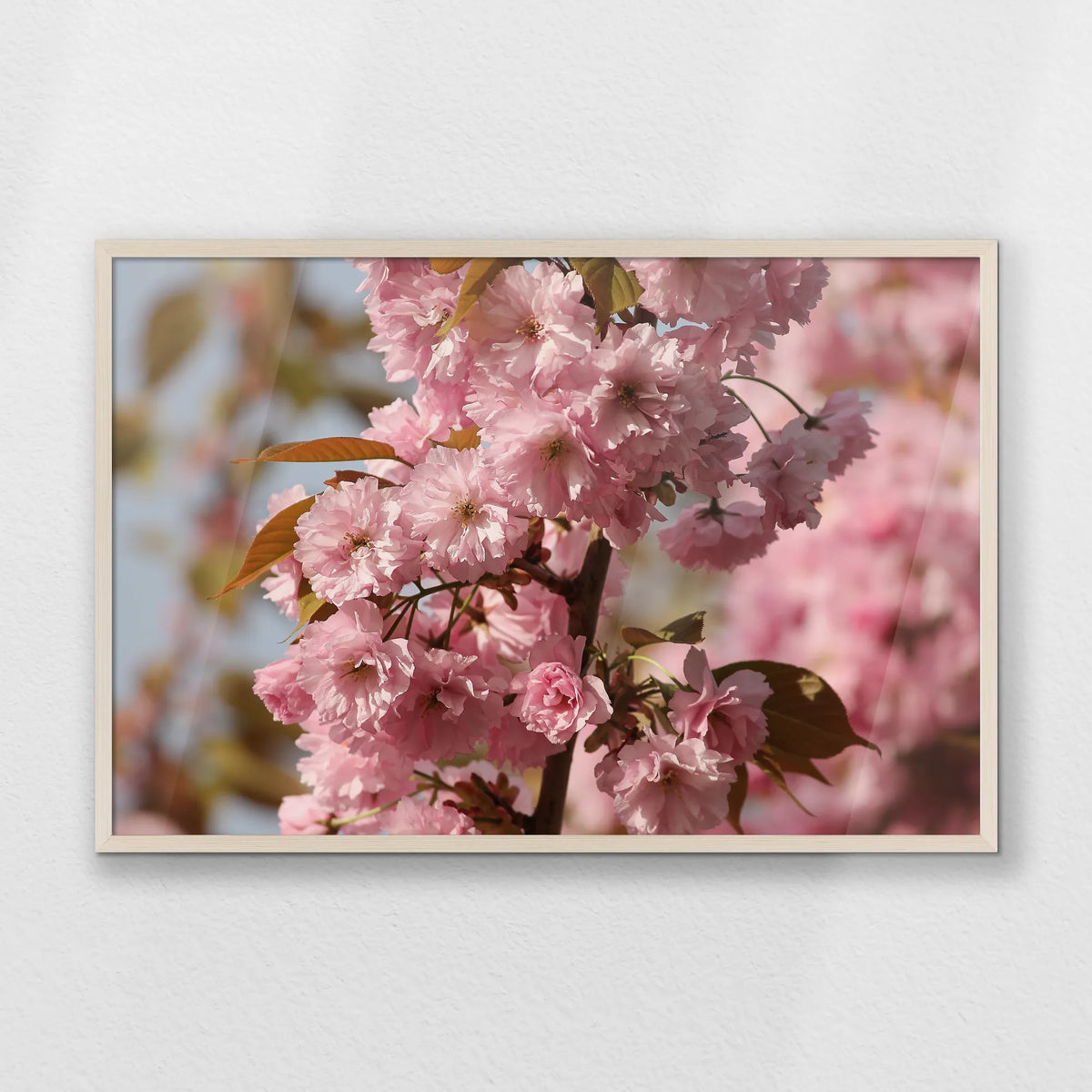 PN-093W062