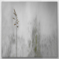LW-050W050