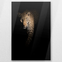 AL-020W030