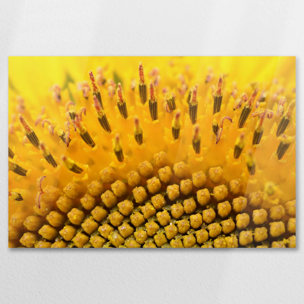 AC-075W050