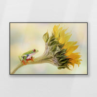 PB-120W080