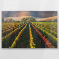 AC-060W040