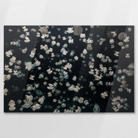 AC-090W060