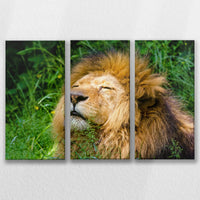LW-090R060