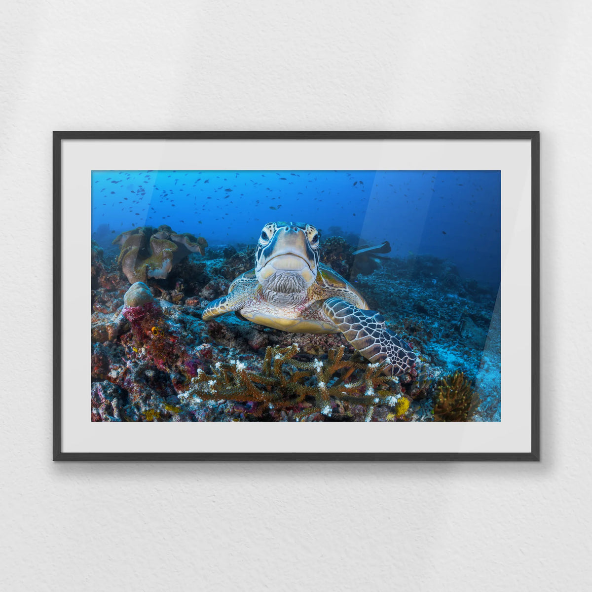 PKP100W070