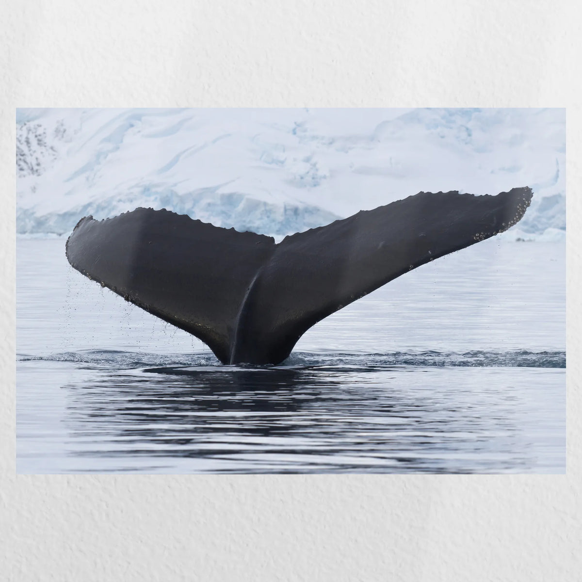 PO-030W020