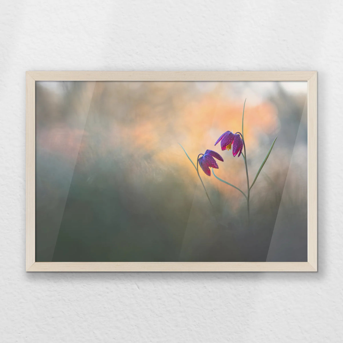 PN-060W040