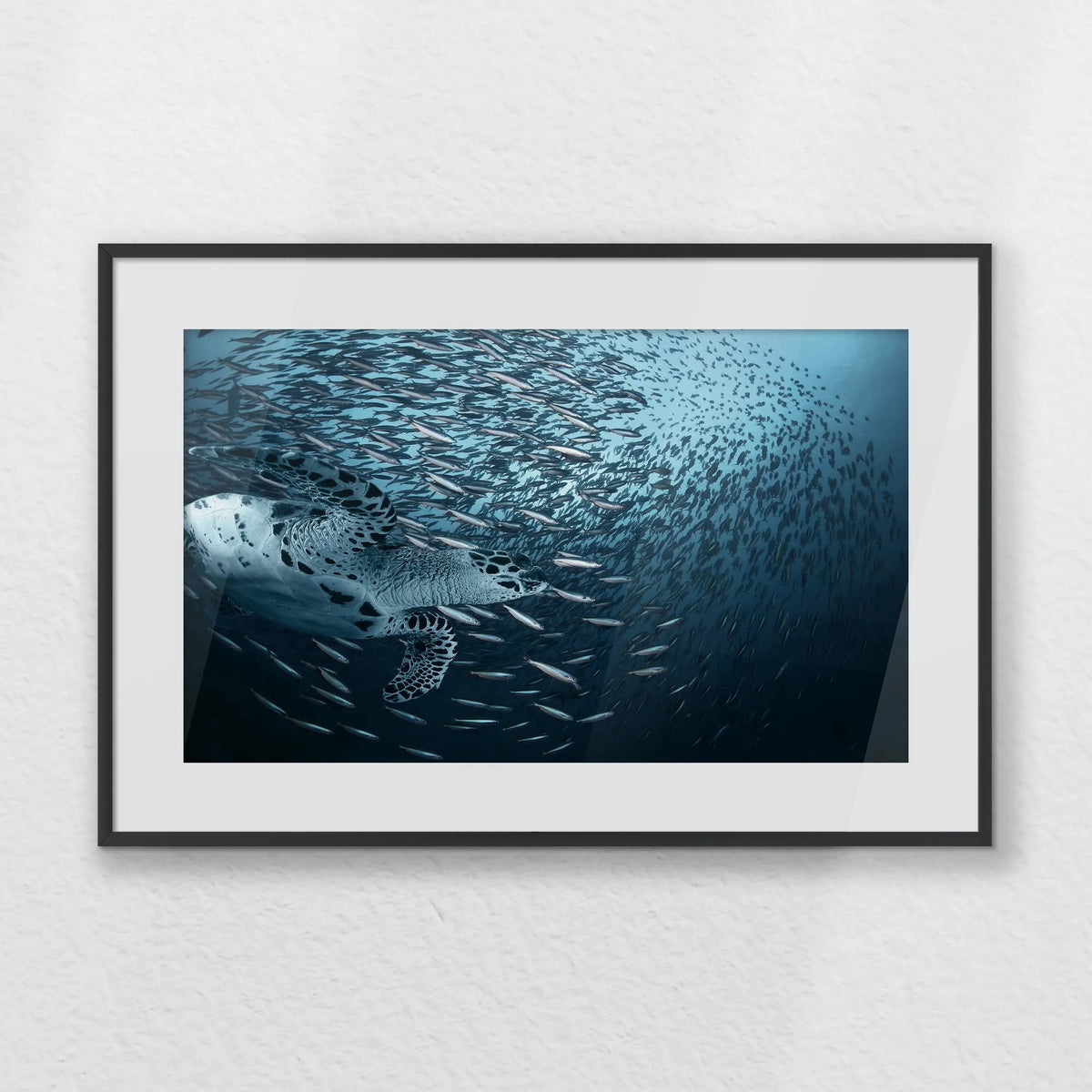 PBP060W040