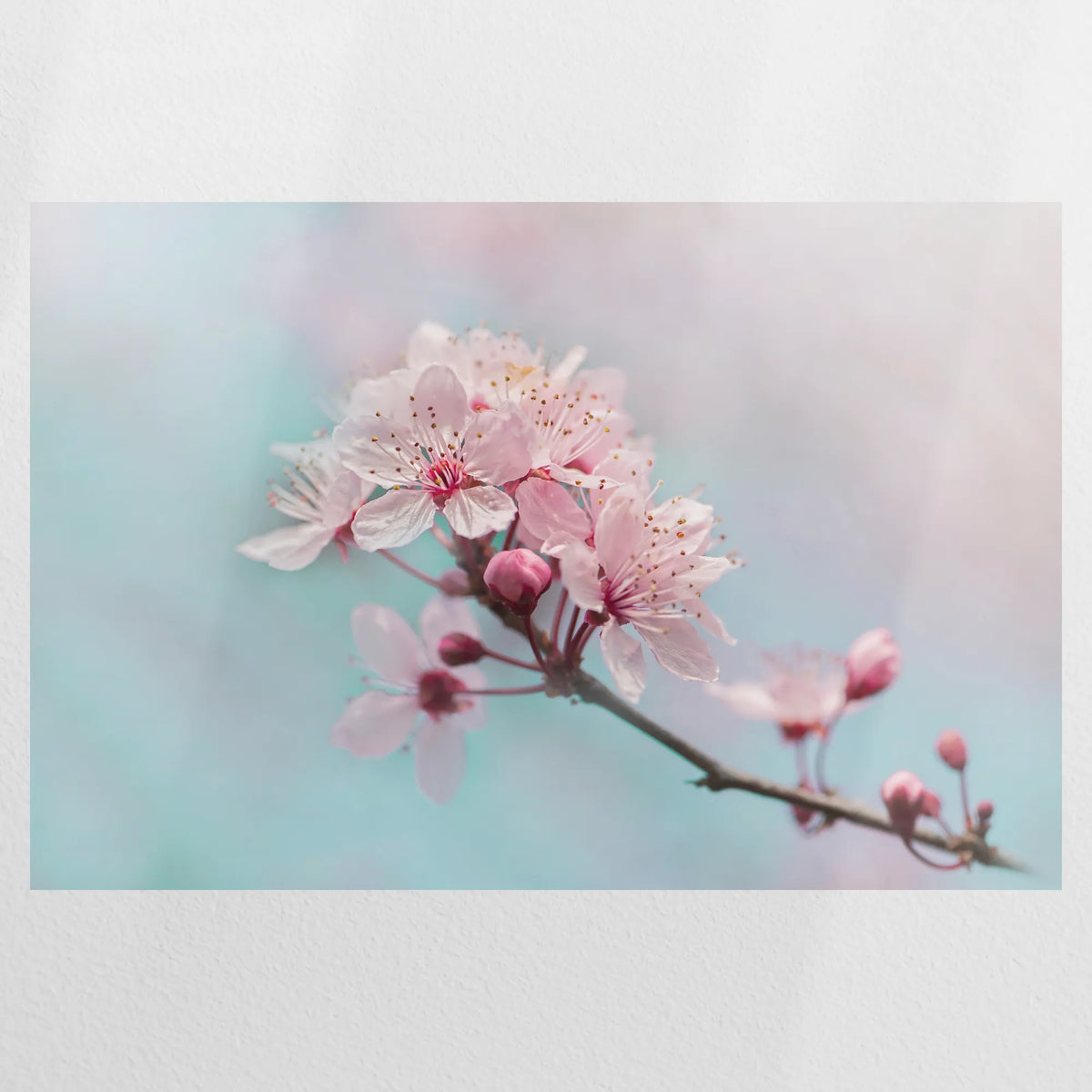 PO-075W050