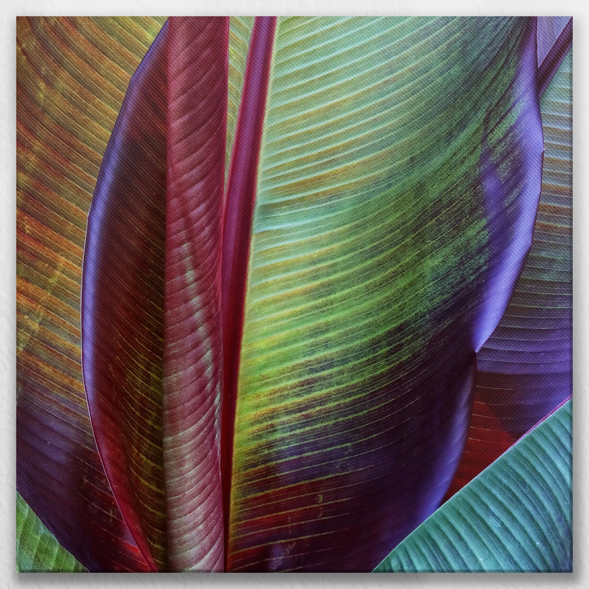 LW-070W070