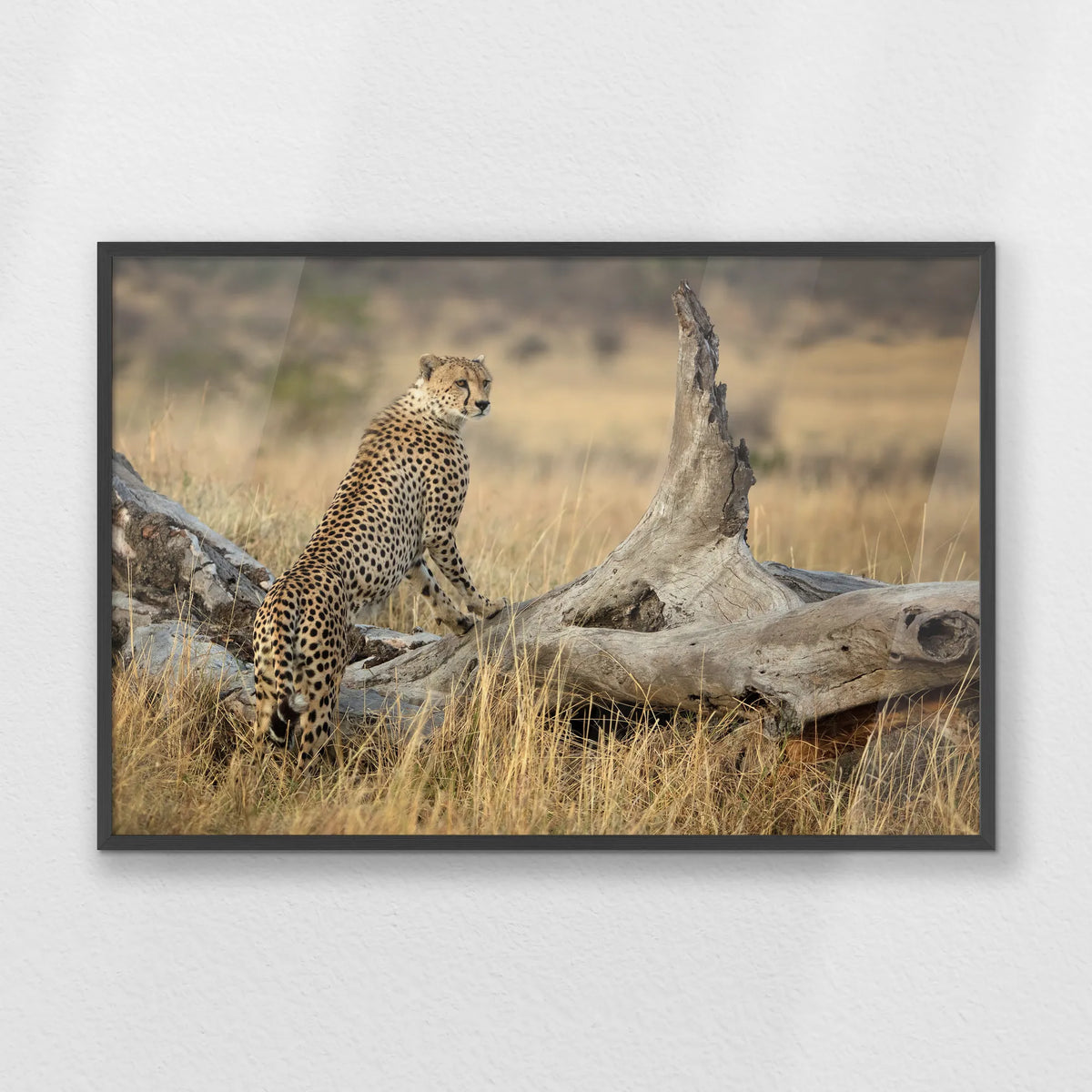 PK-100W070