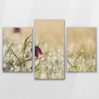 LW-120T080
