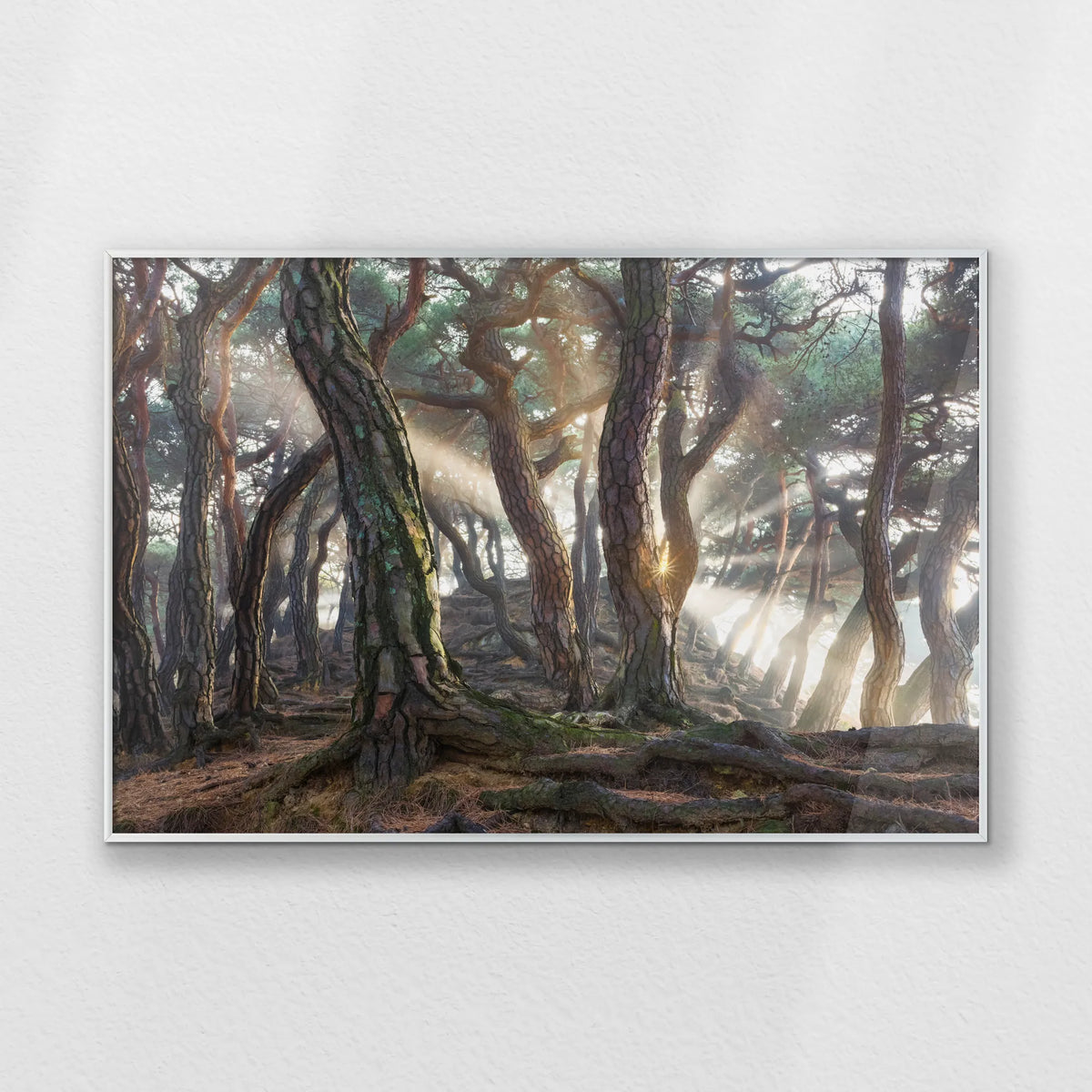 PS-093W062