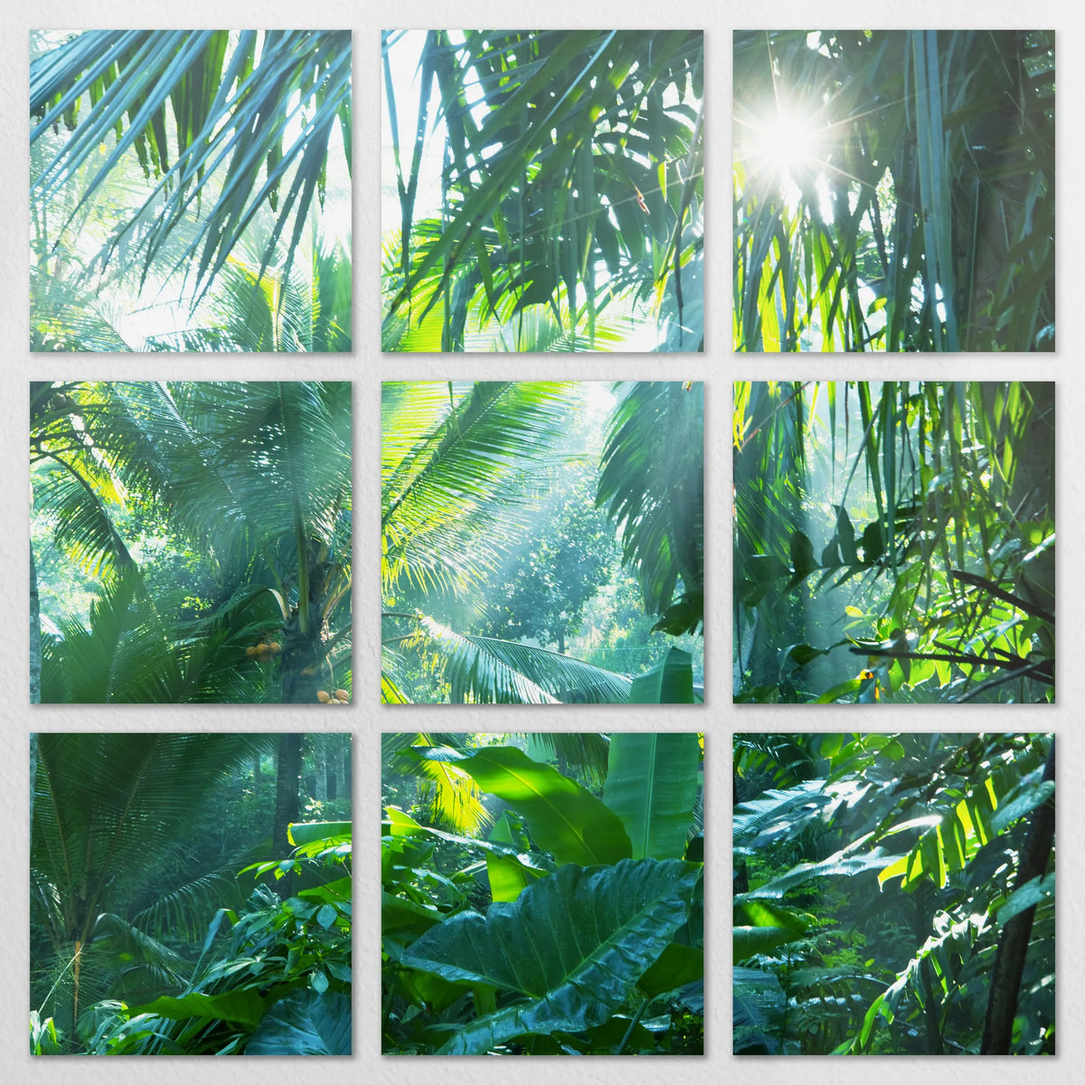 AL-270Z270