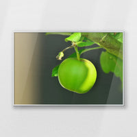 PS-093W062
