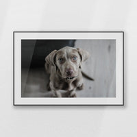 PBP120W080