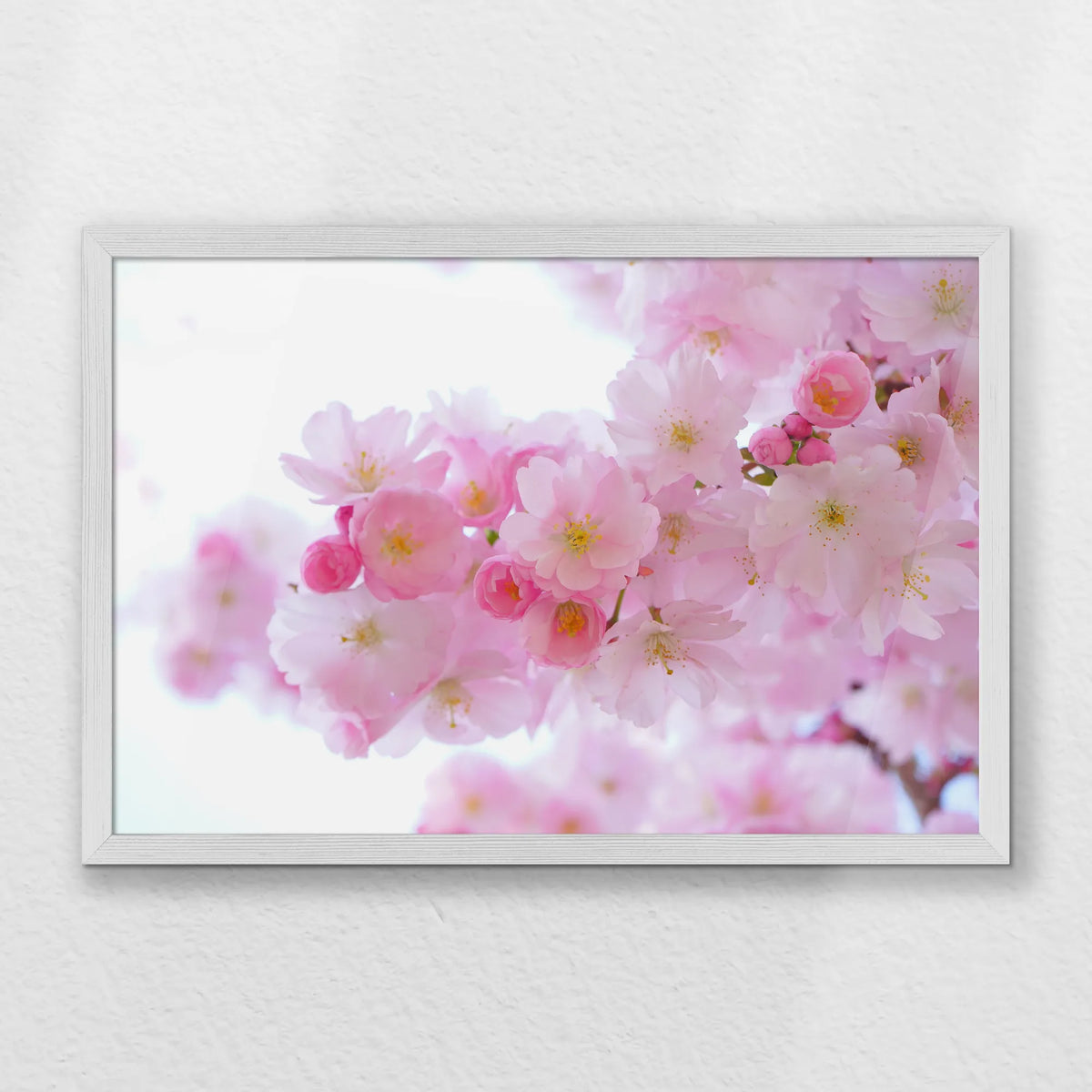 PW-060W040