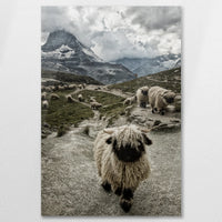 AC-080W120