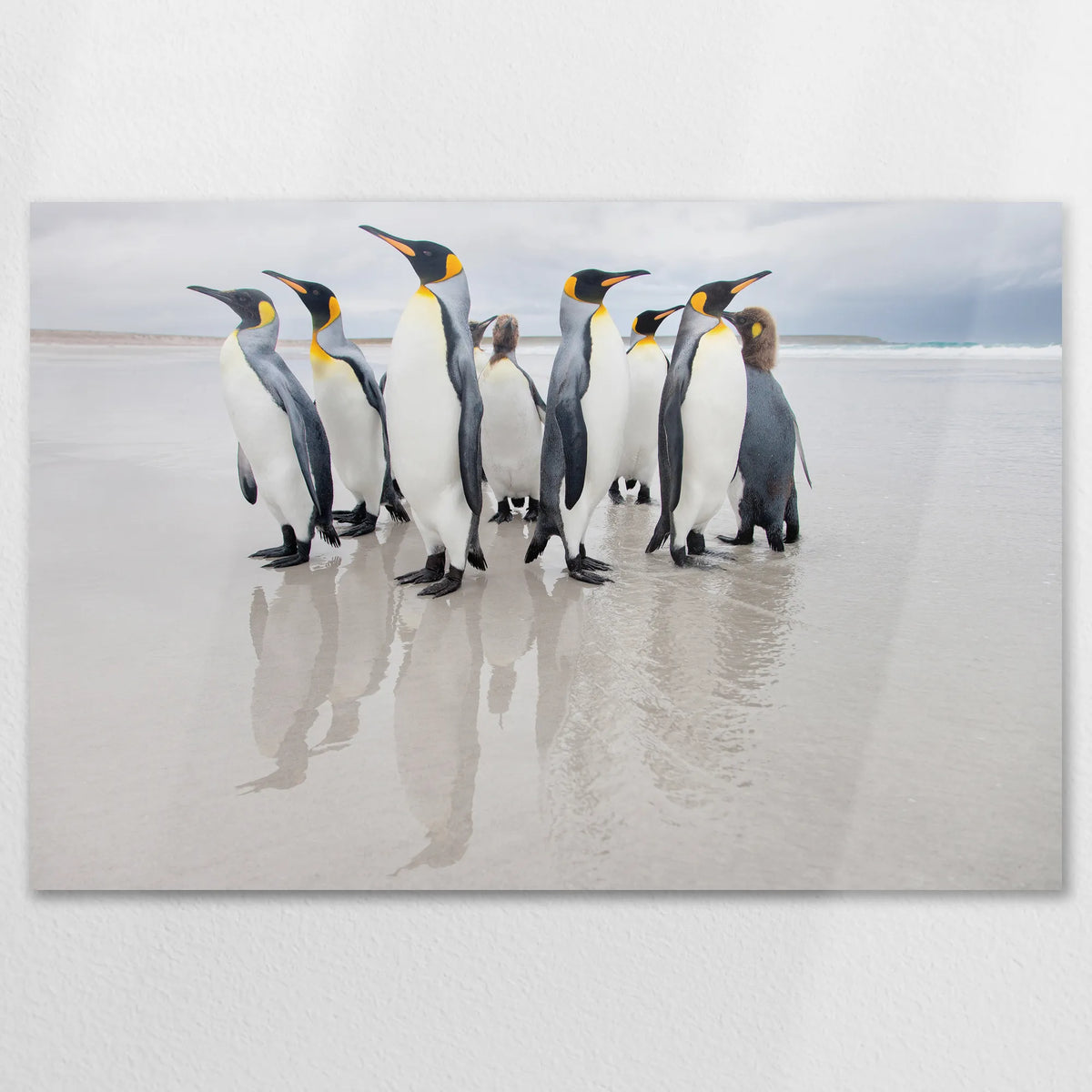 AL-120W080