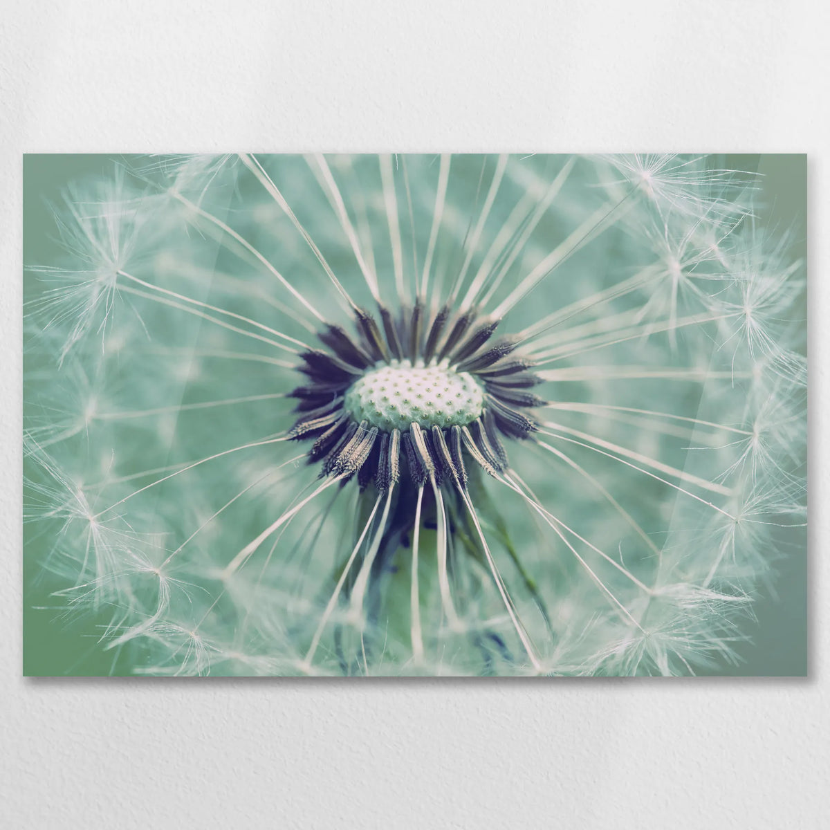 AC-075W050