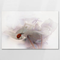 AC-090W060