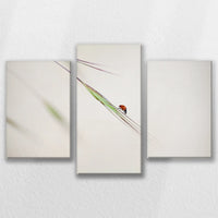 LW-090T060